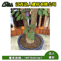 花卉園林陶粒好不好用？